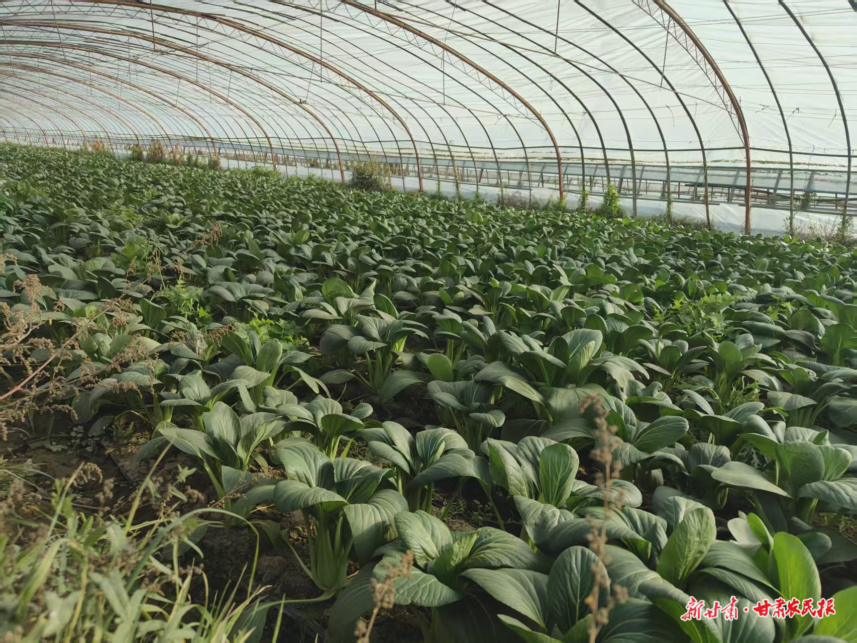 微信图片_20251031013924_168_8