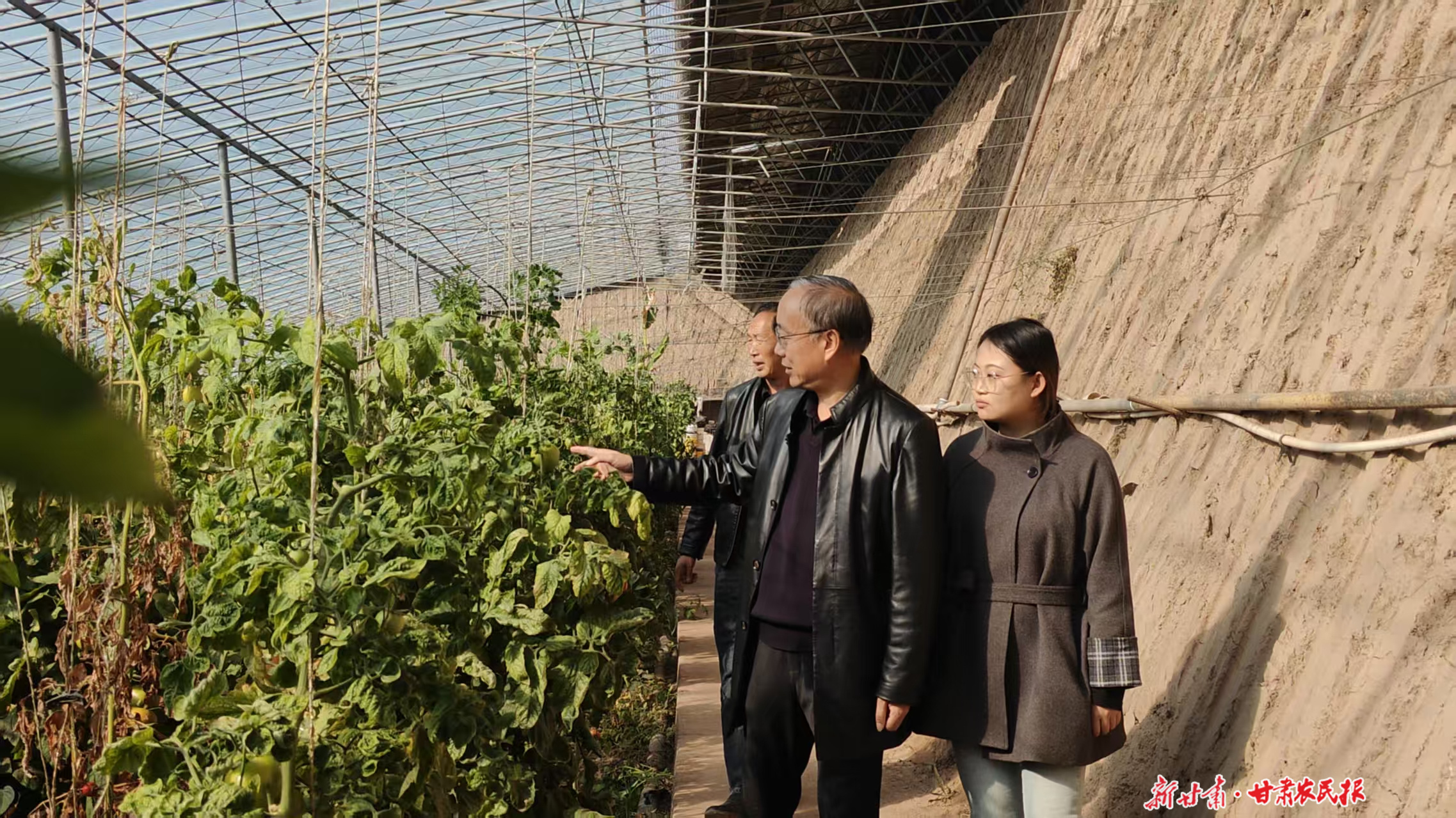 微信图片_20251031013927_170_8