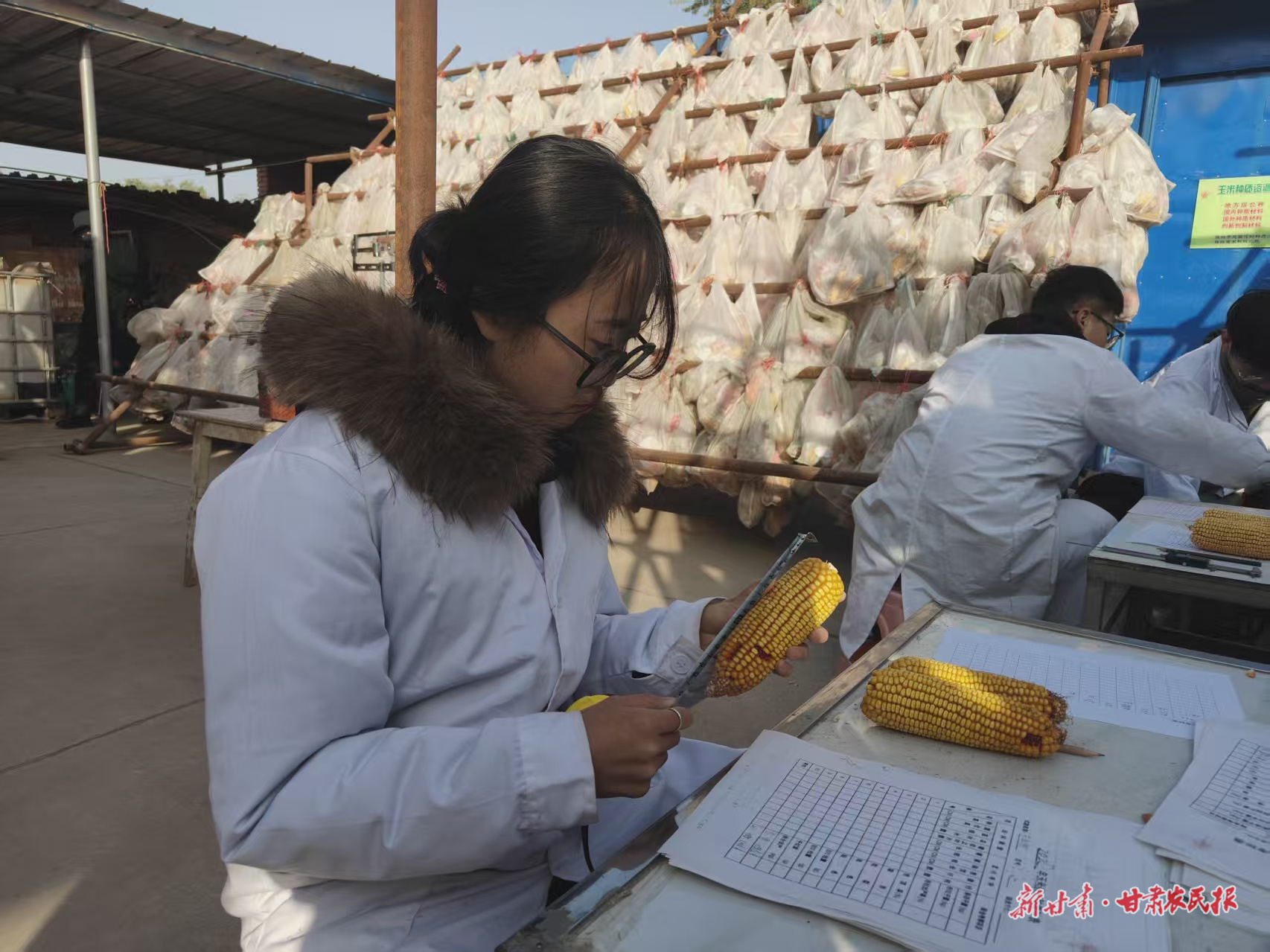 微信图片_20251031162637_180_8