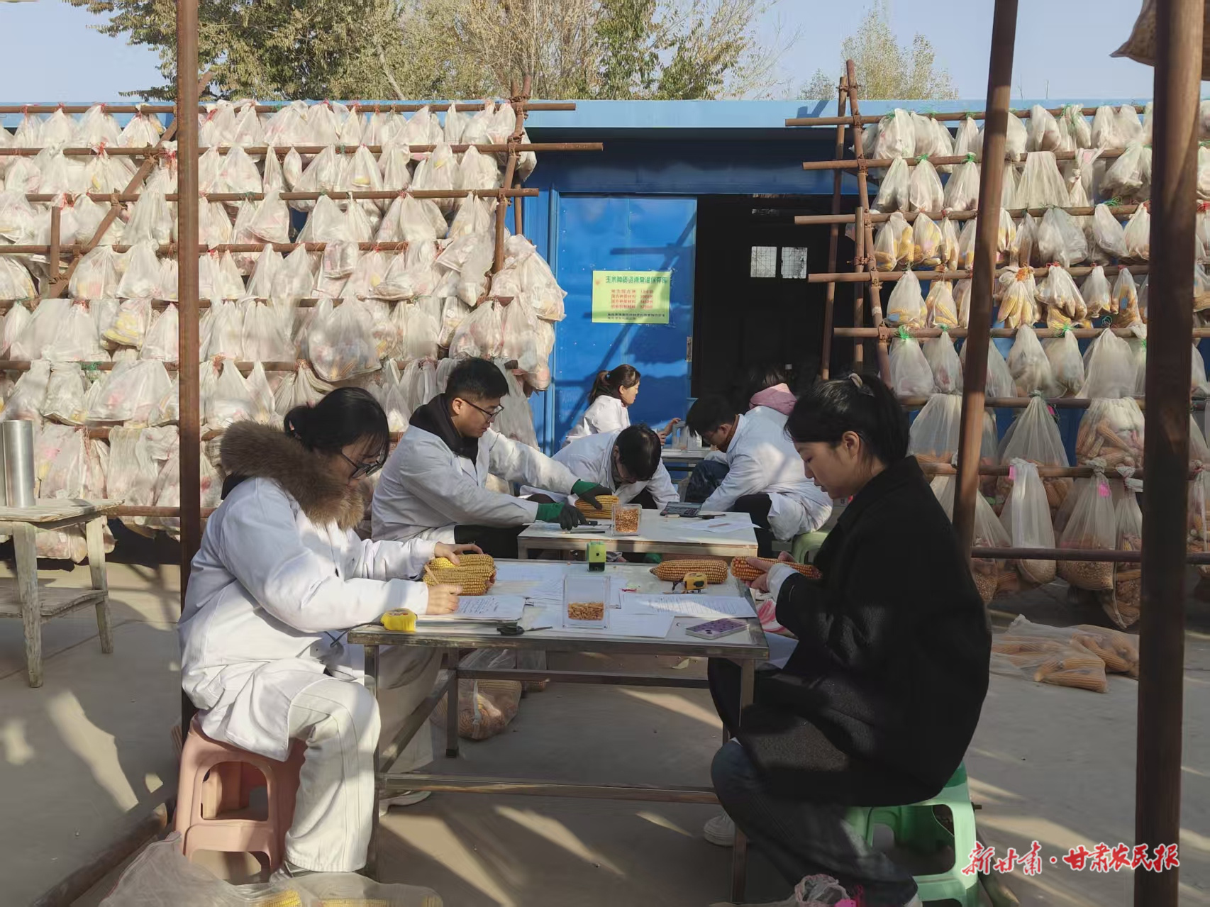 微信图片_20251031162638_181_8