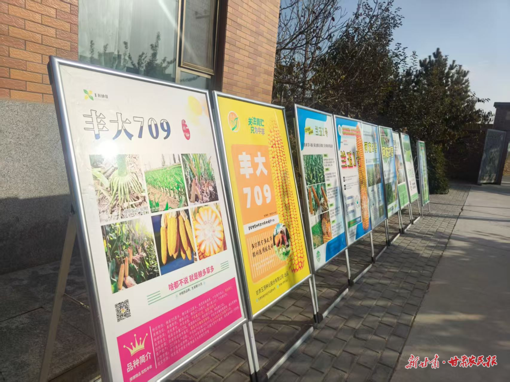 微信图片_20251031162641_183_8