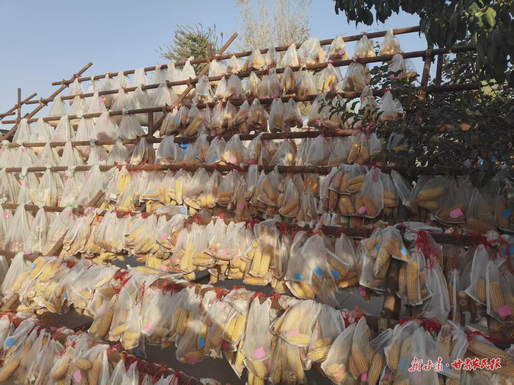 微信图片_20251031162639_182_8