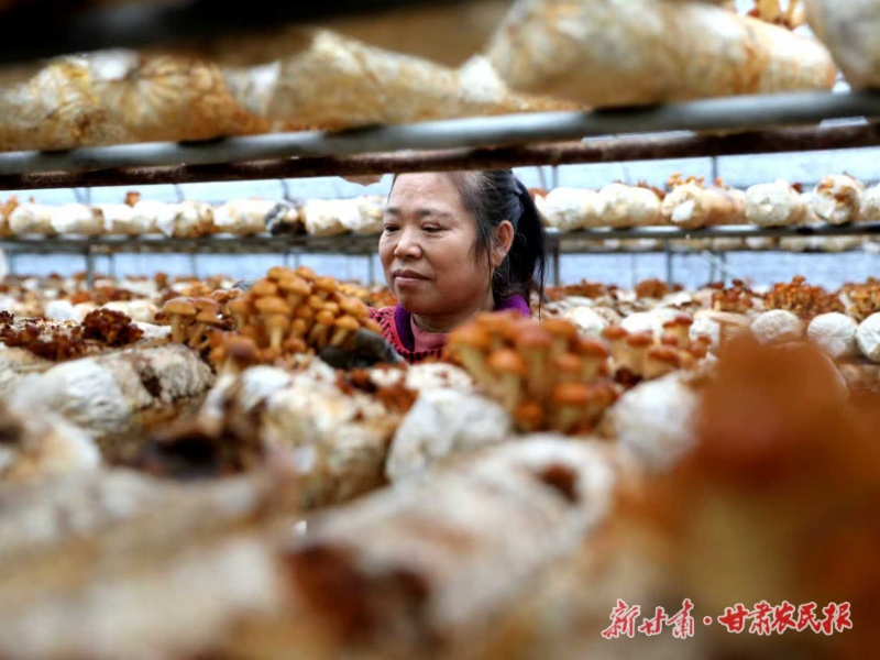 1762999591715293.jpg 微信图片_20251112162949_114_102.jpg