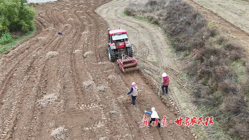 1763345085725917.jpg 1763087614395059349.jpg