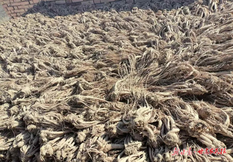 1764208452638577.png 微信图片_20251126110657_123_124.png