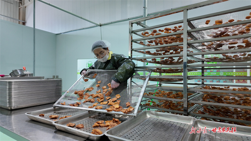 1764812908749030.jpg 微信图片_20251203162311_131_102.jpg