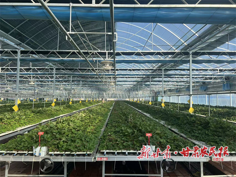 1765420969874419.jpg 1765186153117036091.jpg