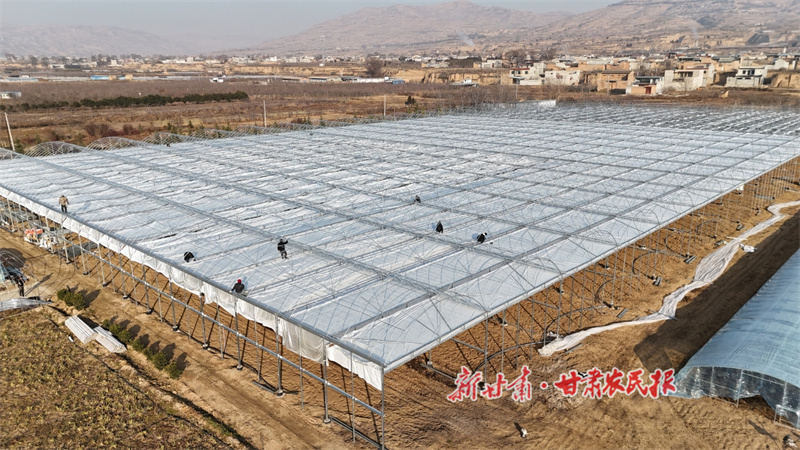 1766991213927848.jpg 1766990141301000493.jpg