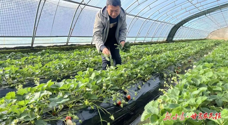 1767840944527626.jpg 微信图片_20260107152615_166_102.jpg