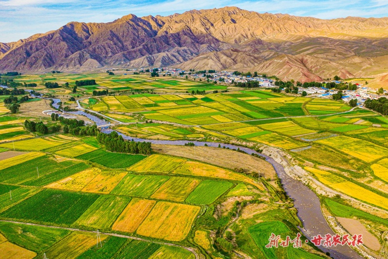 1770603390716433.jpg 微信图片_20260206113232_225_124.jpg