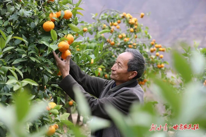 1775094969688040.jpg 微信图片_20260401154315_262_28.jpg