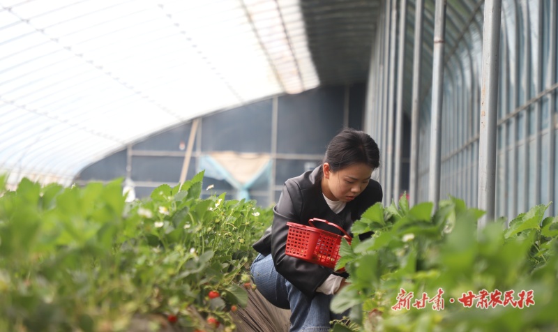 微信图片_20260506155811_257_102.jpg