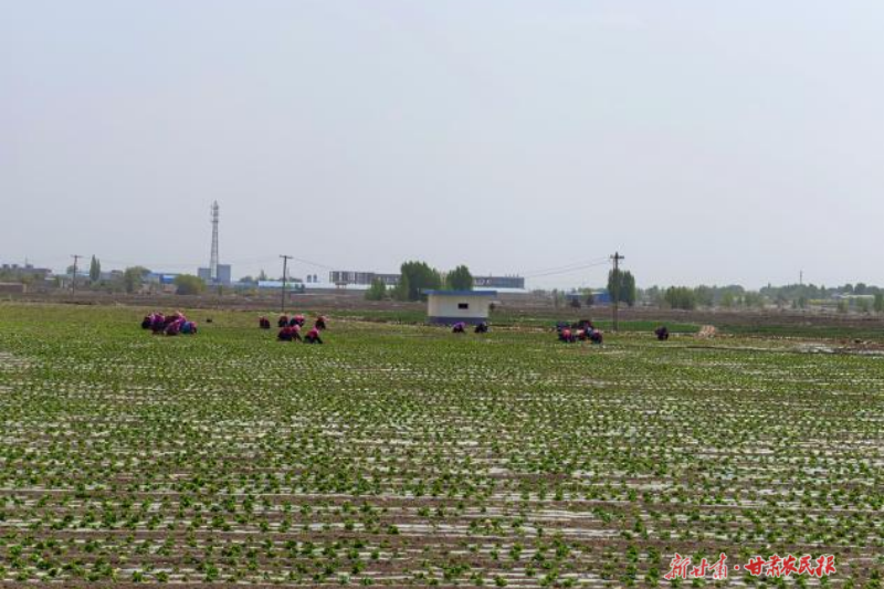 微信图片_20260527095547_369_124.png