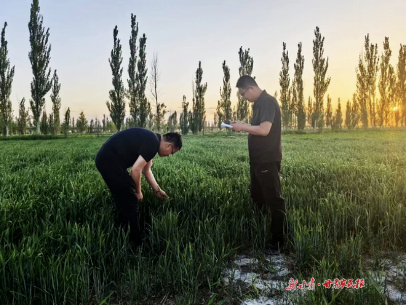 微信图片_20260529150540_511_30.png