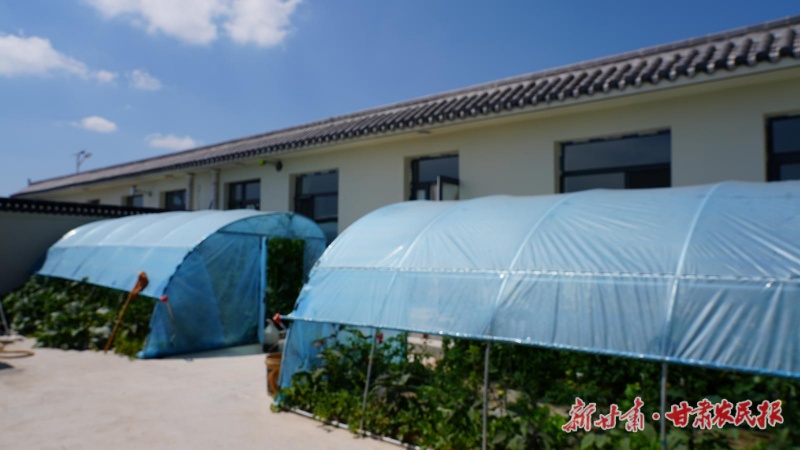 庭院经济1