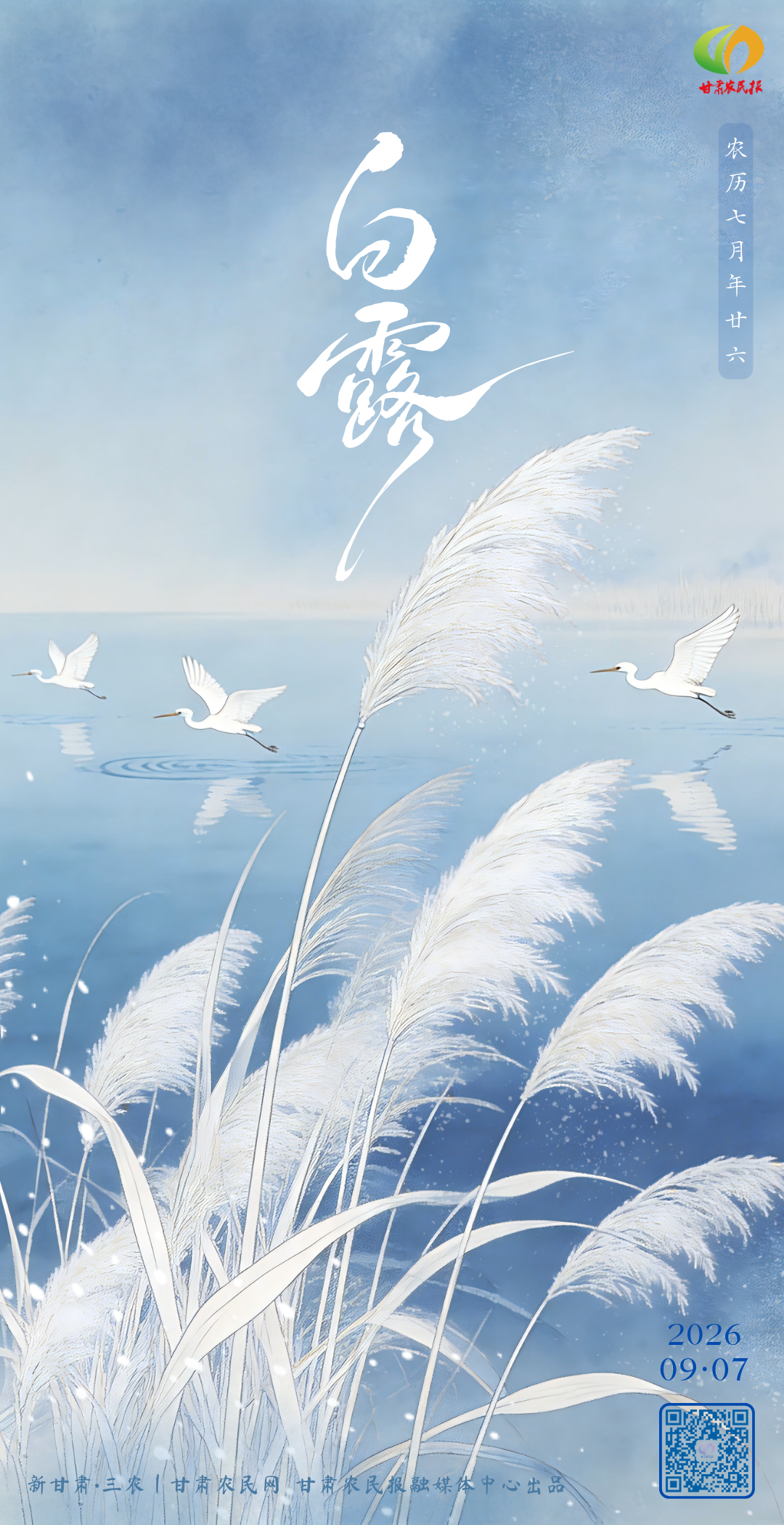 微信图片_20260907085018_448_21.png
