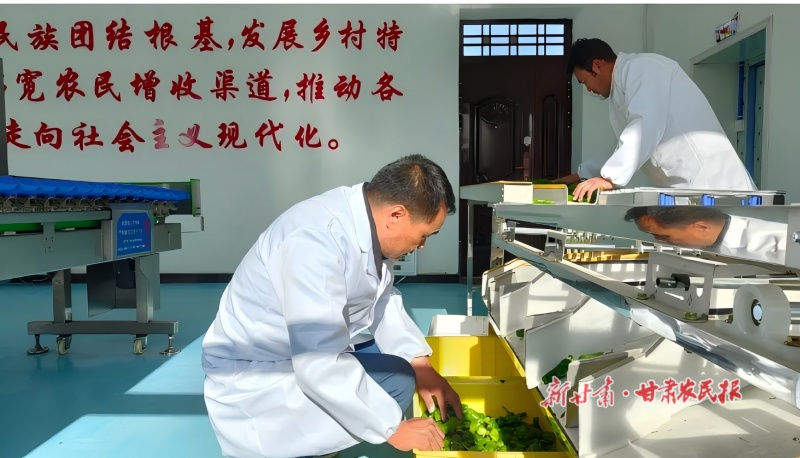 微信图片_20260909160237_63_25.jpg