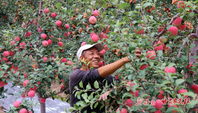 微信图片_20260909164732_45_26.jpg