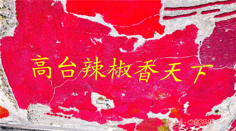 1790045611268060405.jpg