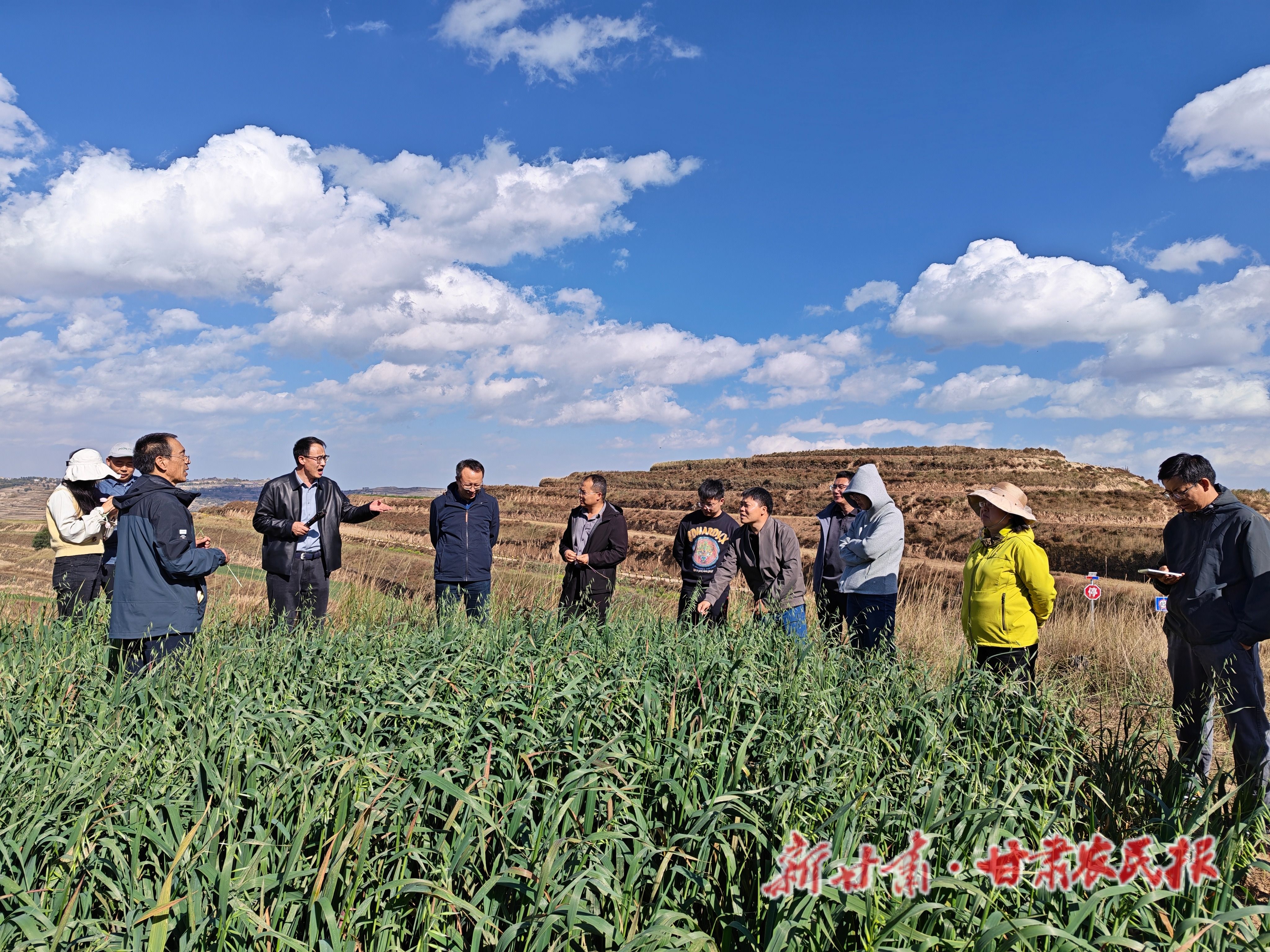 微信图片_20261013220531_28_71 微信图片_20261013220531_28_71
