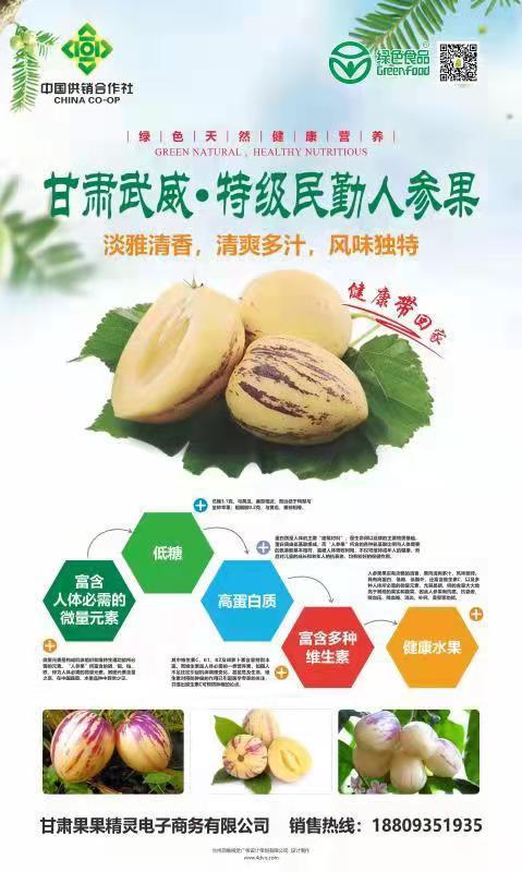 甘肃武威·特级民勤人参果