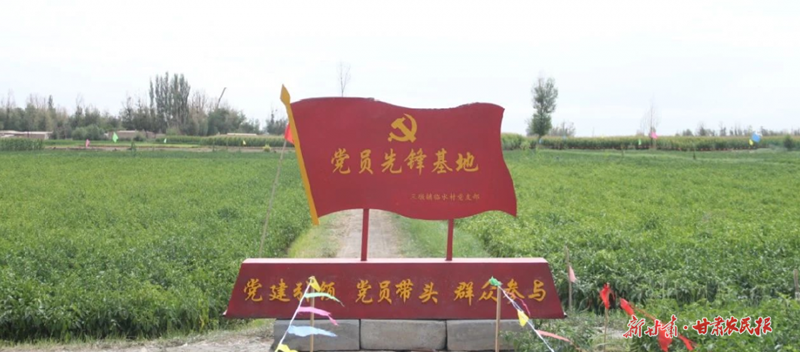 三墩镇：做强辣椒产业 助力乡村振兴 ​