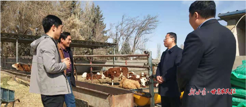 丰乐镇：培育产业发展新力量 拓宽群众增收致富路