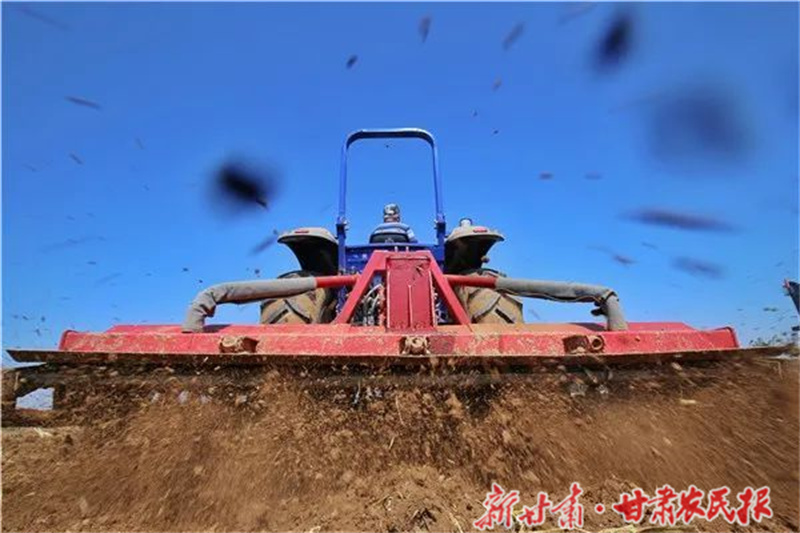 肃州东洞镇：人勤春早 春耕备耕忙