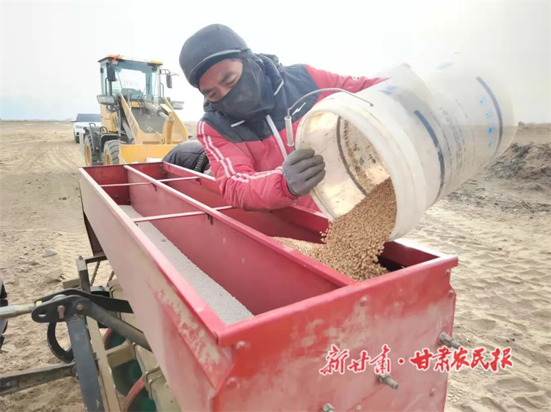 肃州：多措并举守好百姓&ldquo;粮袋子&rdquo;