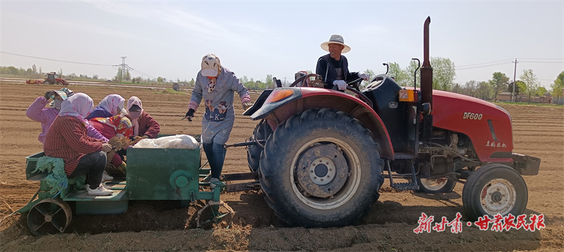 巩平：种下中药材 开出&ldquo;富民方&rdquo;