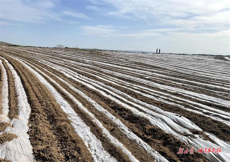 麦积区：&ldquo;唤醒&rdquo;撂荒地 在希望的田野上播种