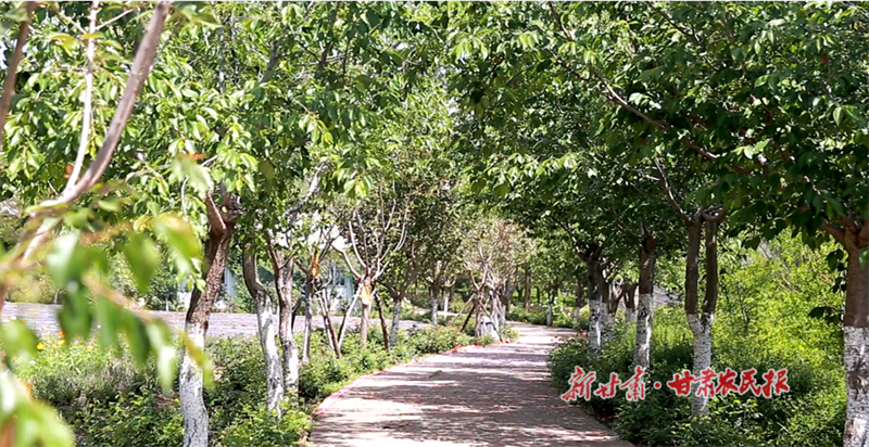 麦积区甘江村：乡村旅游火起来 村民钱袋子鼓起来