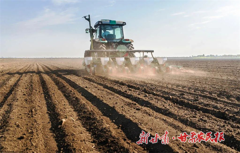 肃州：&ldquo;撂荒地&rdquo;变身&ldquo;聚宝盆&rdquo;