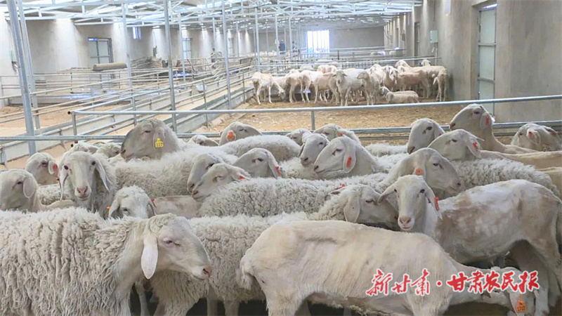 鼓了&ldquo;钱袋子&rdquo; &mdash;&mdash;&ldquo;聚焦甘肃三农这五年&rdquo;系列报道之二