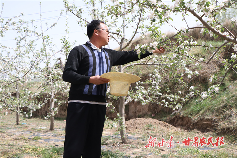 静宁：&ldquo;花蛋蛋&rdquo;变成&ldquo;金蛋蛋&rdquo;