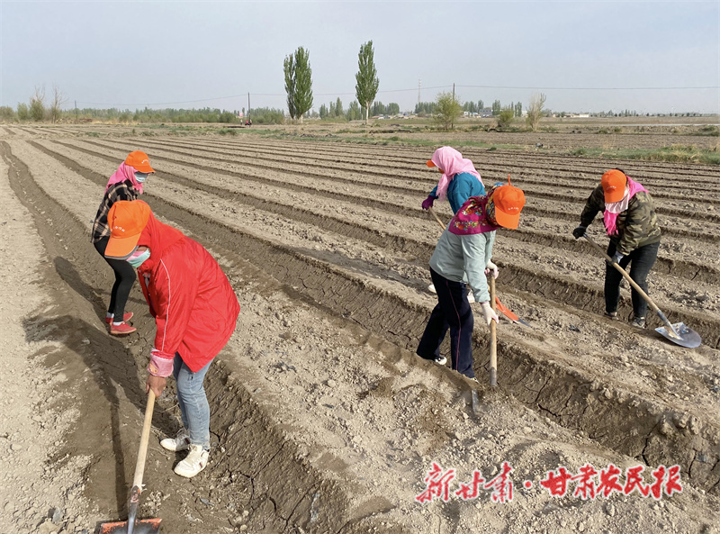 肃州：小小合作社 引领群众增收致富&ldquo;加速跑&rdquo;