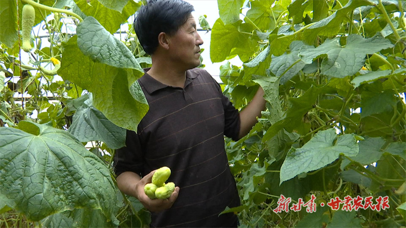 合水：广袤沃野种下&ldquo;绿色&rdquo;希望