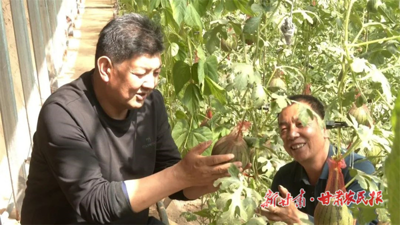 扎根农业 满腔热情&mdash;&mdash;记古浪县园艺技术工作站农艺师陈立宏
