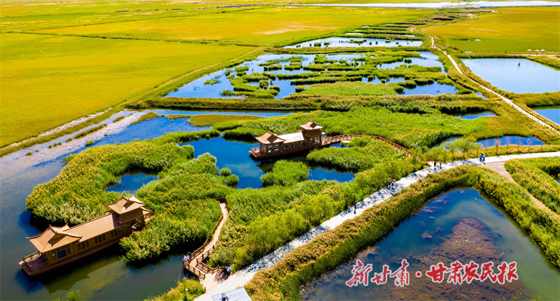 肃州区：聚焦&ldquo;三项重点&rdquo; 全力打造&ldquo;三农&rdquo;工作亮点