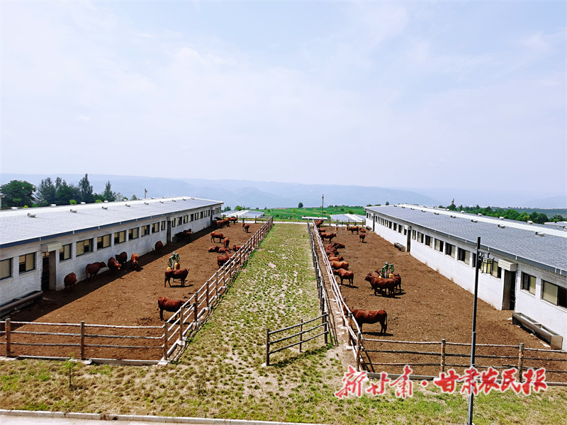 重了&ldquo;肉盘子&rdquo;&mdash;&mdash;&ldquo;聚焦甘肃三农这五年&rdquo;系列报道之五