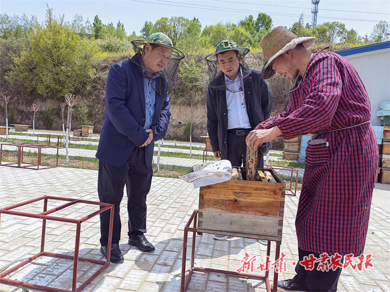 庄浪县：小蜜蜂酿出&ldquo;甜日子&rdquo;