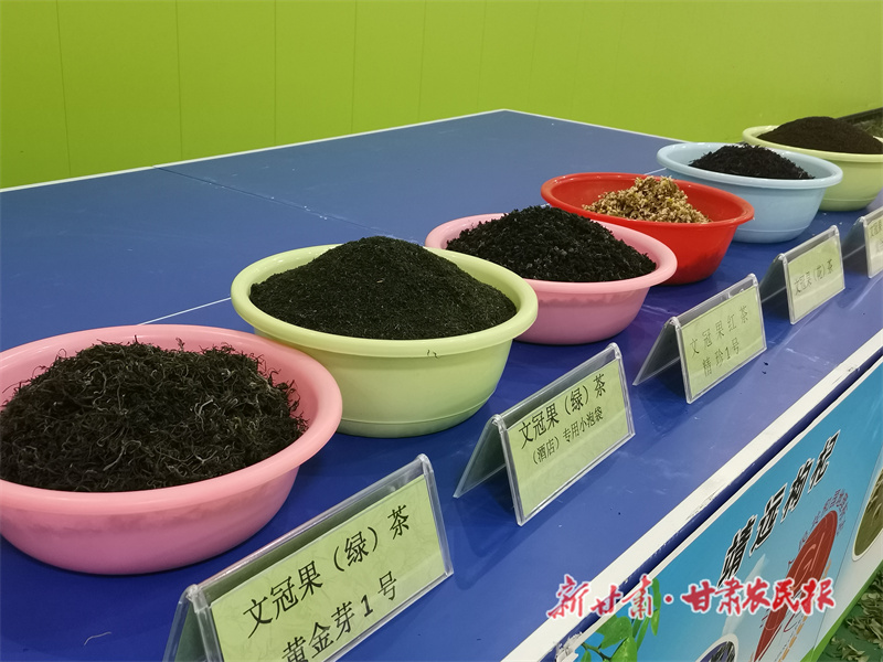 种上文冠果 栽下摇钱树&mdash;&mdash;靖远县文冠果产业发展探析