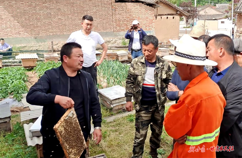 麦积区党川镇：壮大特色优势产业 拓宽群众增收渠道