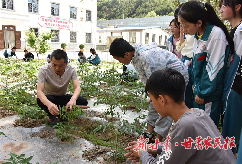 麦积区：打造特色课堂 让学生&ldquo;向阳&rdquo;成长
