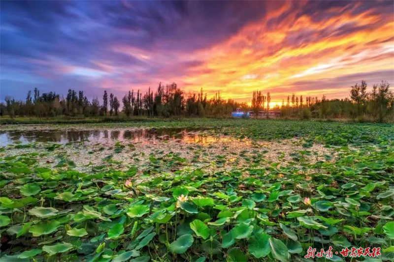 肃州：党建引领 文旅融合 乡村振兴