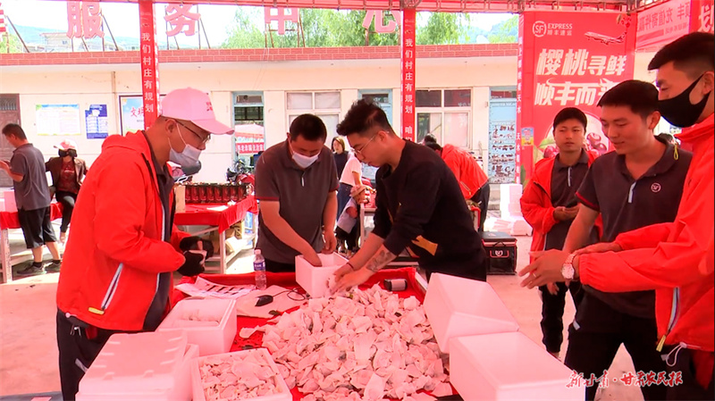 电商给力 &ldquo;网红&rdquo;果品秦州大樱桃畅销国内市场