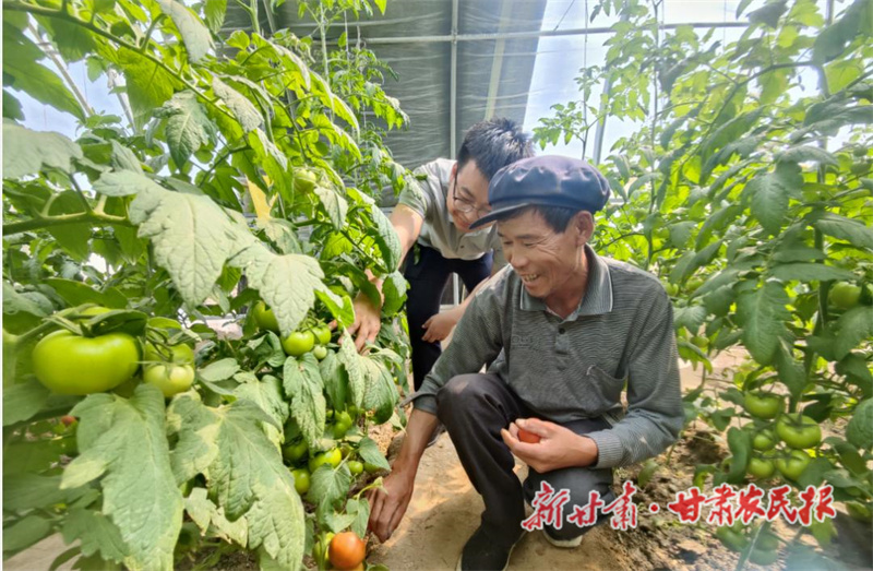瓜州：温棚产业&ldquo;多点开花&rdquo;