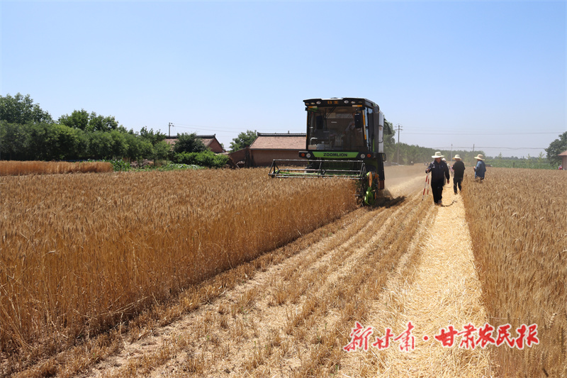 丰收路上的&ldquo;新麦客&rdquo;