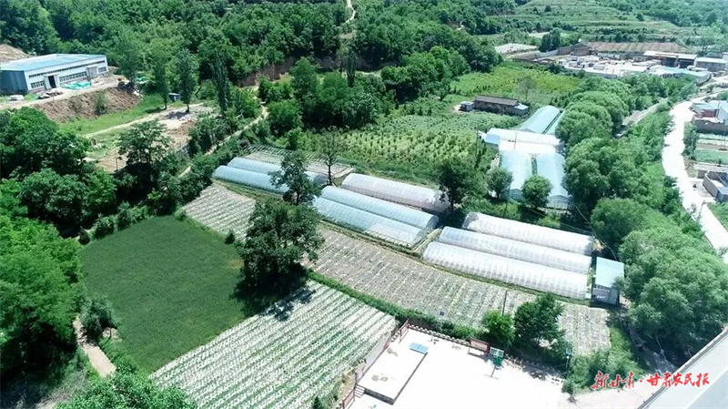 麦积区甘泉镇吴河村：村民致富有门路 村集体经济有&ldquo;家底&rdquo;