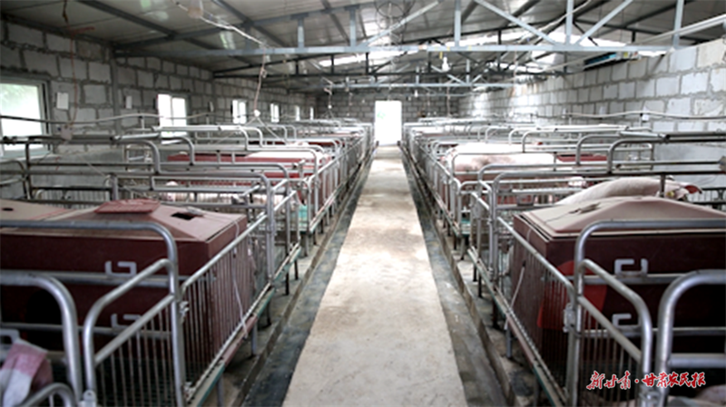 麦积区社棠镇：科学养殖让农户更安心